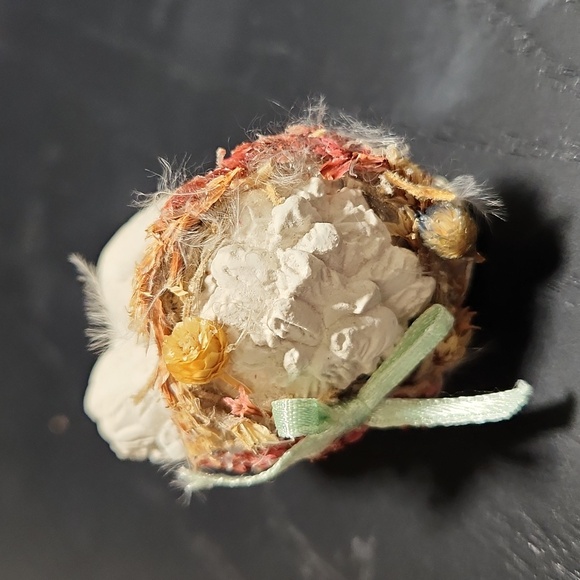 Dreamsicles laying down - Picture 4 of 11